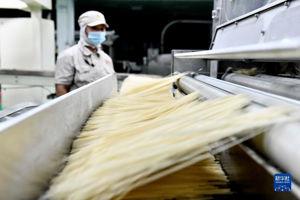 edf壴定发手机版下载